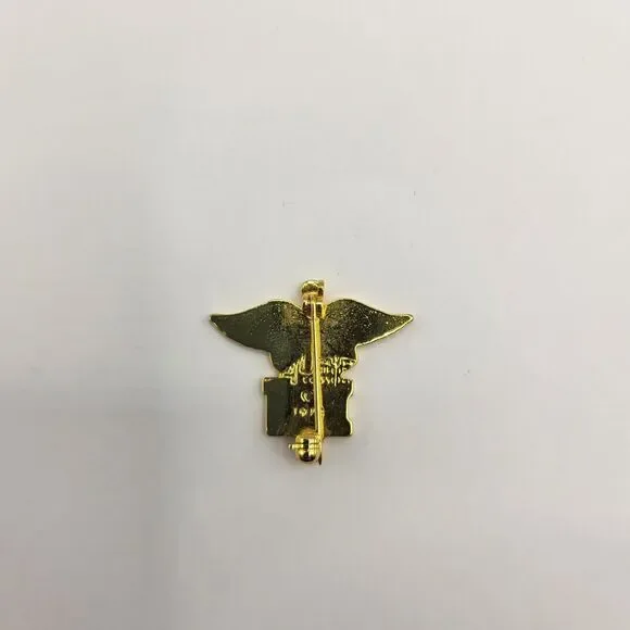 Registered Nurse RN Pin Medical Caduceus Pin Lapel Pin Registered Nurse Gift - Picture 2 of 4